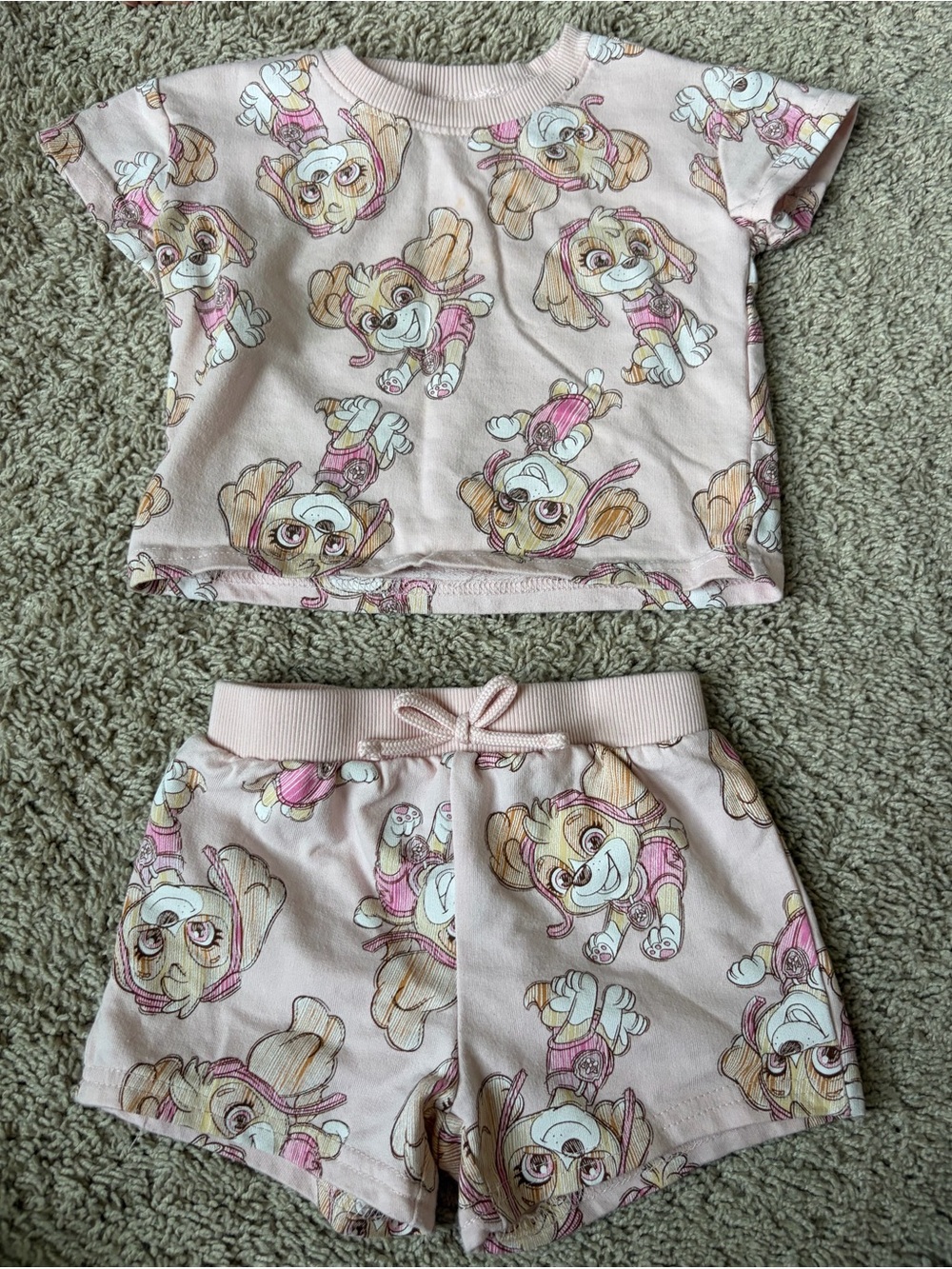 Paw Patrol Skye Girls 2T Pink Shirt & Shorts 2-Piece Set